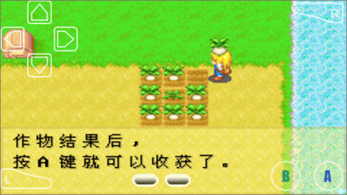 牧场物语女孩版中文版游戏玩法
